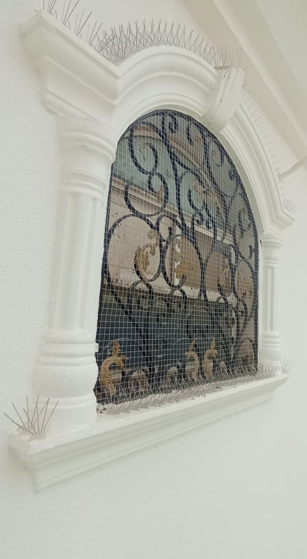 طارد حمام بالرياض