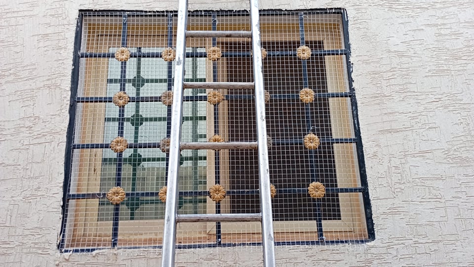 طارد حمام بالرياض