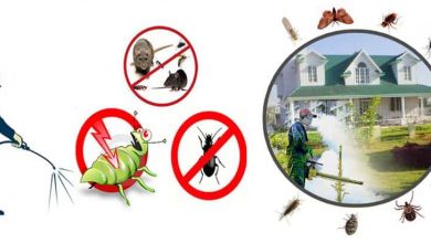 شركه مكافحه حشرات بالرياض