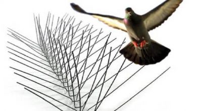 مكافحة حمام بالرياض